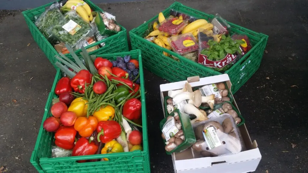 Foodsharing rettet Lebensmittel vor der Mülltonne. Foto: freigelebt.de