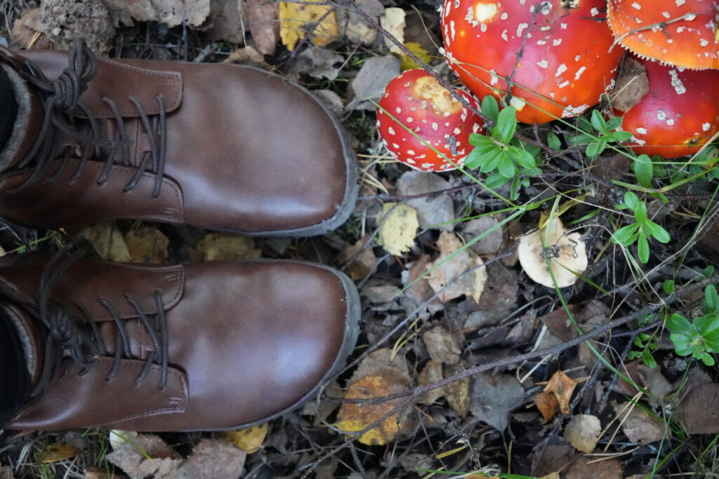 Braune Zaqq Barfussschuhe fliegengewicht fliegenpilz in der natur zum wandern herbst